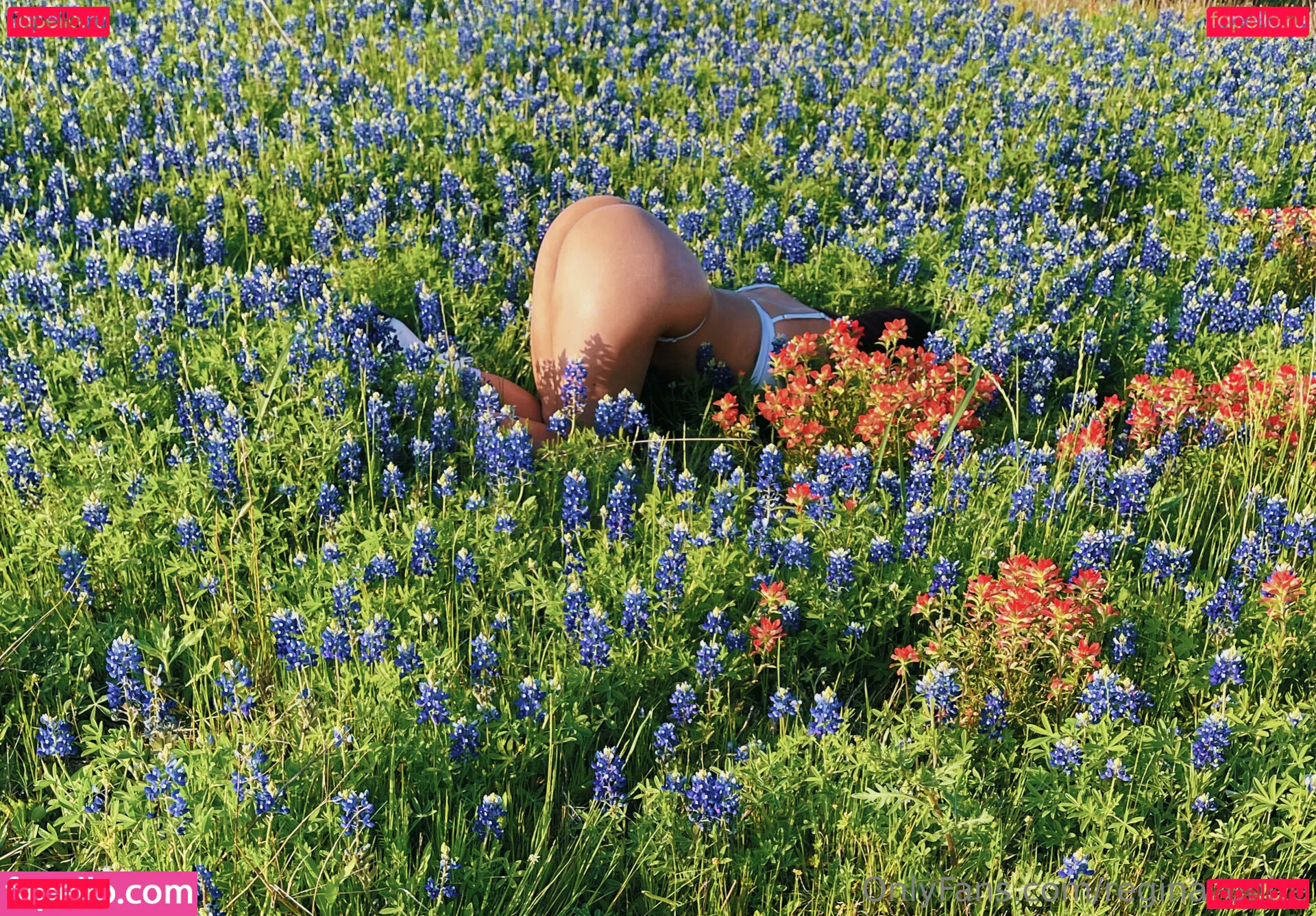 Regina_Unite Onlyfans Photo Gallery 