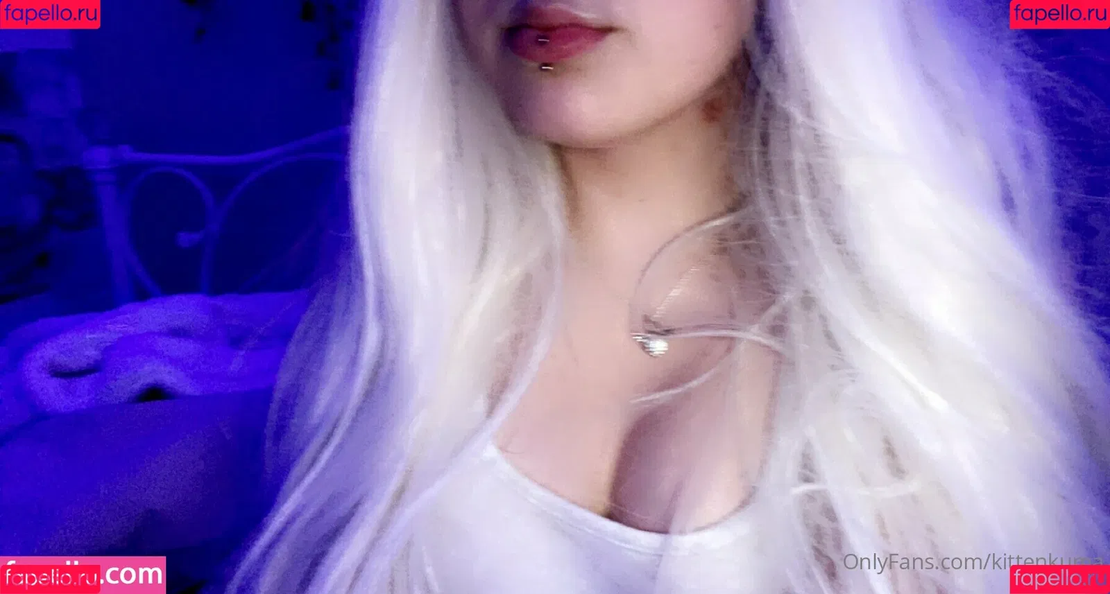 kittenkuma Onlyfans Photo Gallery 