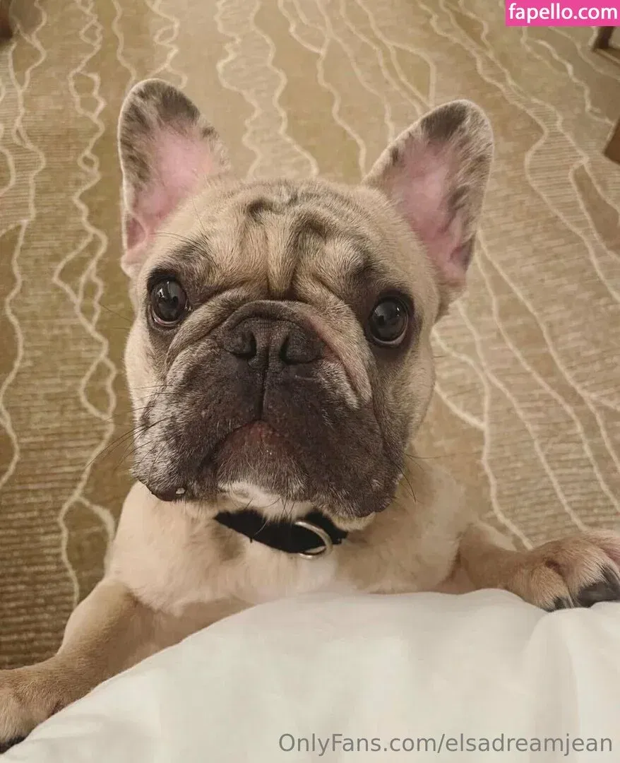 Elsa Jean Onlyfans Photo Gallery 