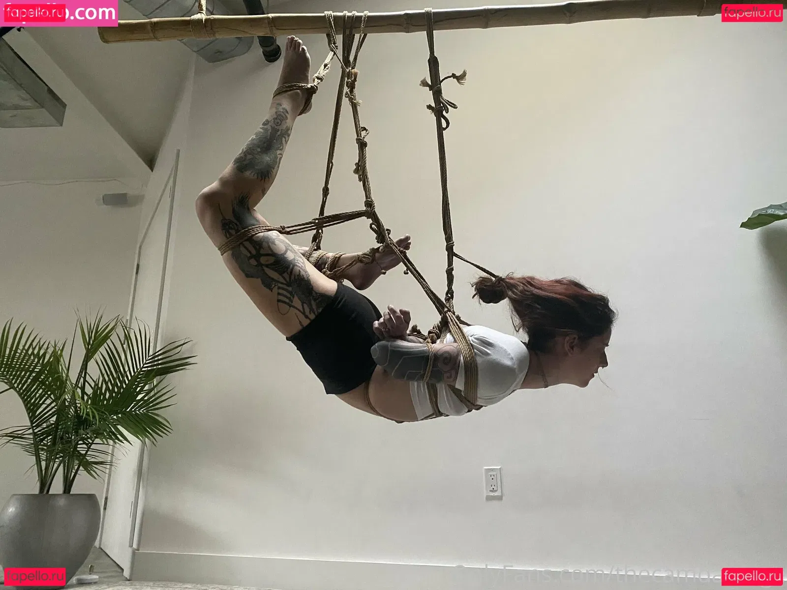 thecamdamage Onlyfans Photo Gallery 