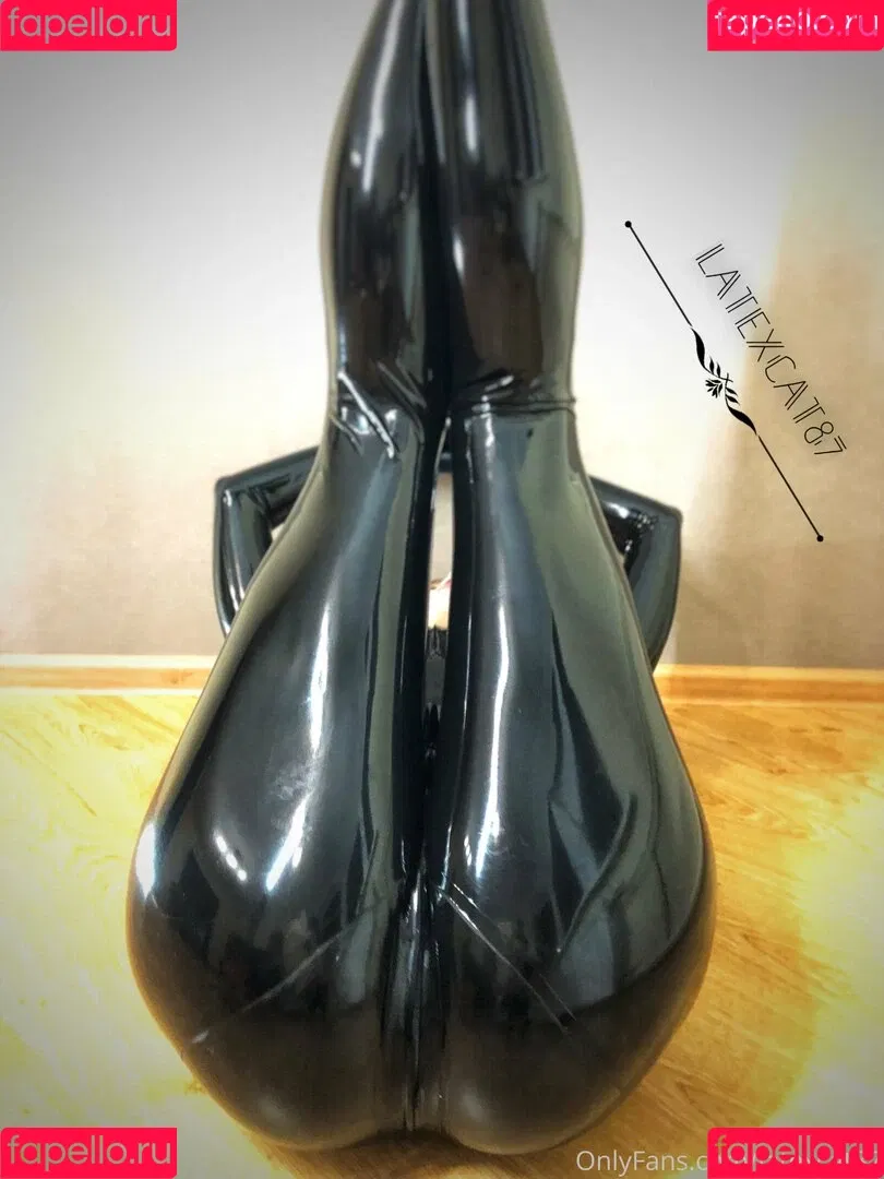 latexcat87 Onlyfans Photo Gallery 