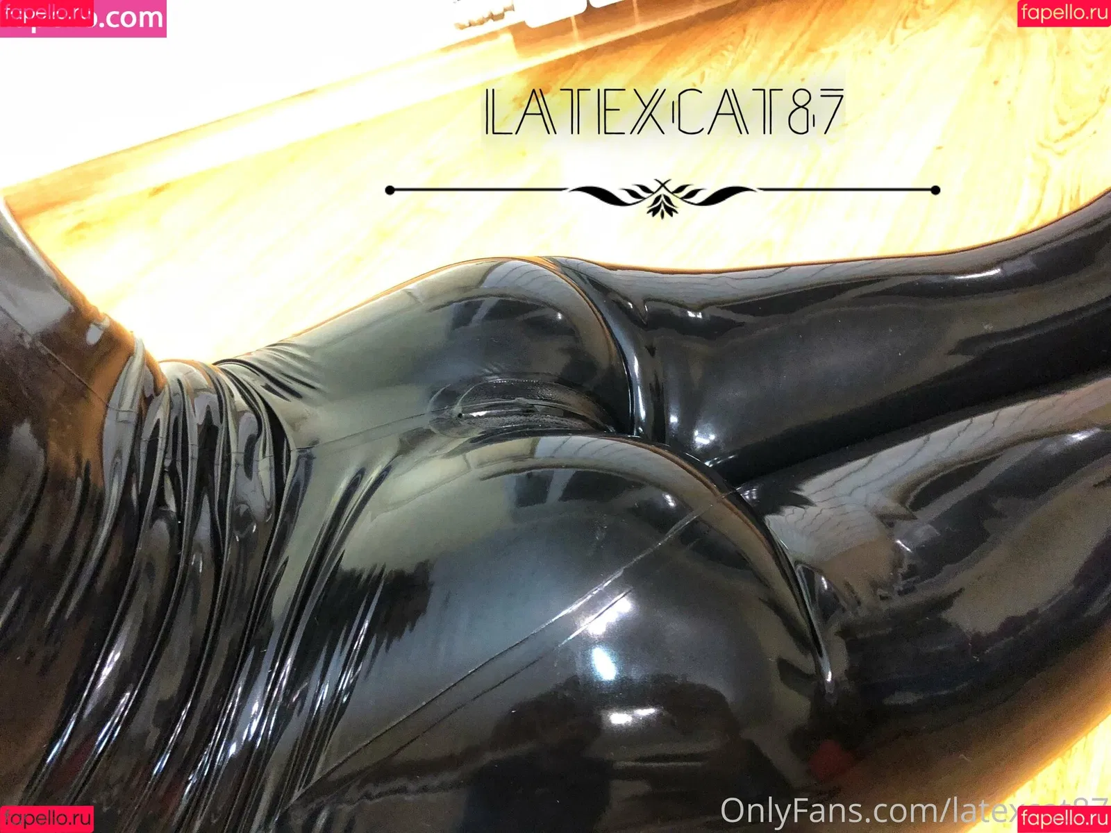 latexcat87 Onlyfans Photo Gallery 