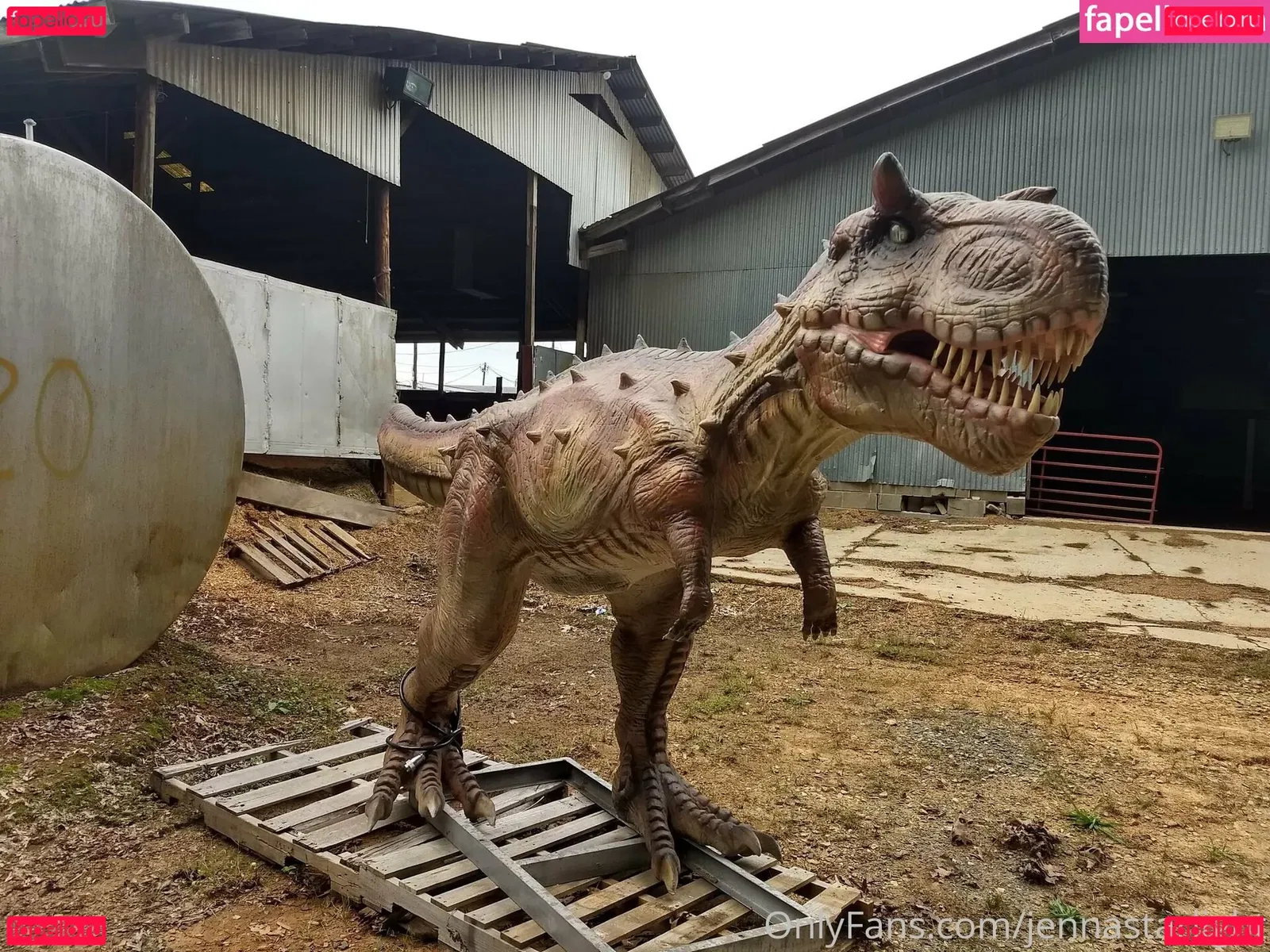 jennastarlight Onlyfans Photo Gallery 