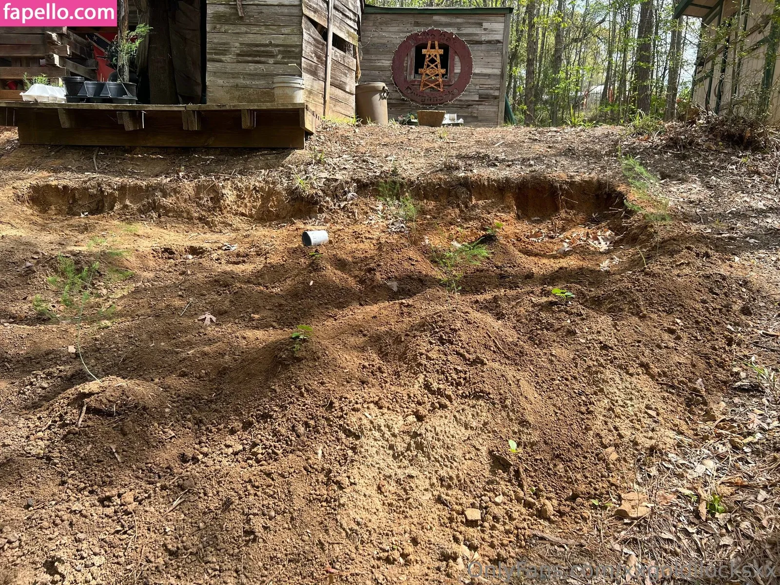 xxxlittlegeexx Onlyfans Photo Gallery 