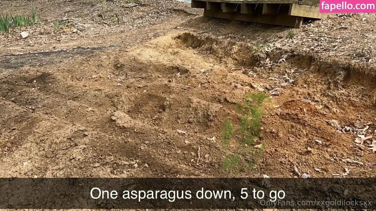 xxxlittlegeexx Onlyfans Photo Gallery 