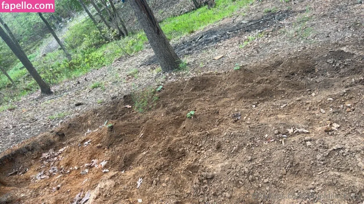 xxxlittlegeexx Onlyfans Photo Gallery 