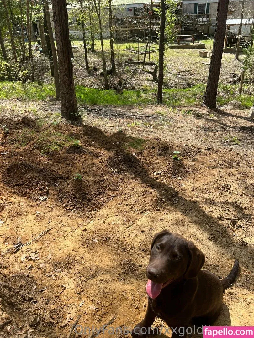 xxxlittlegeexx Onlyfans Photo Gallery 