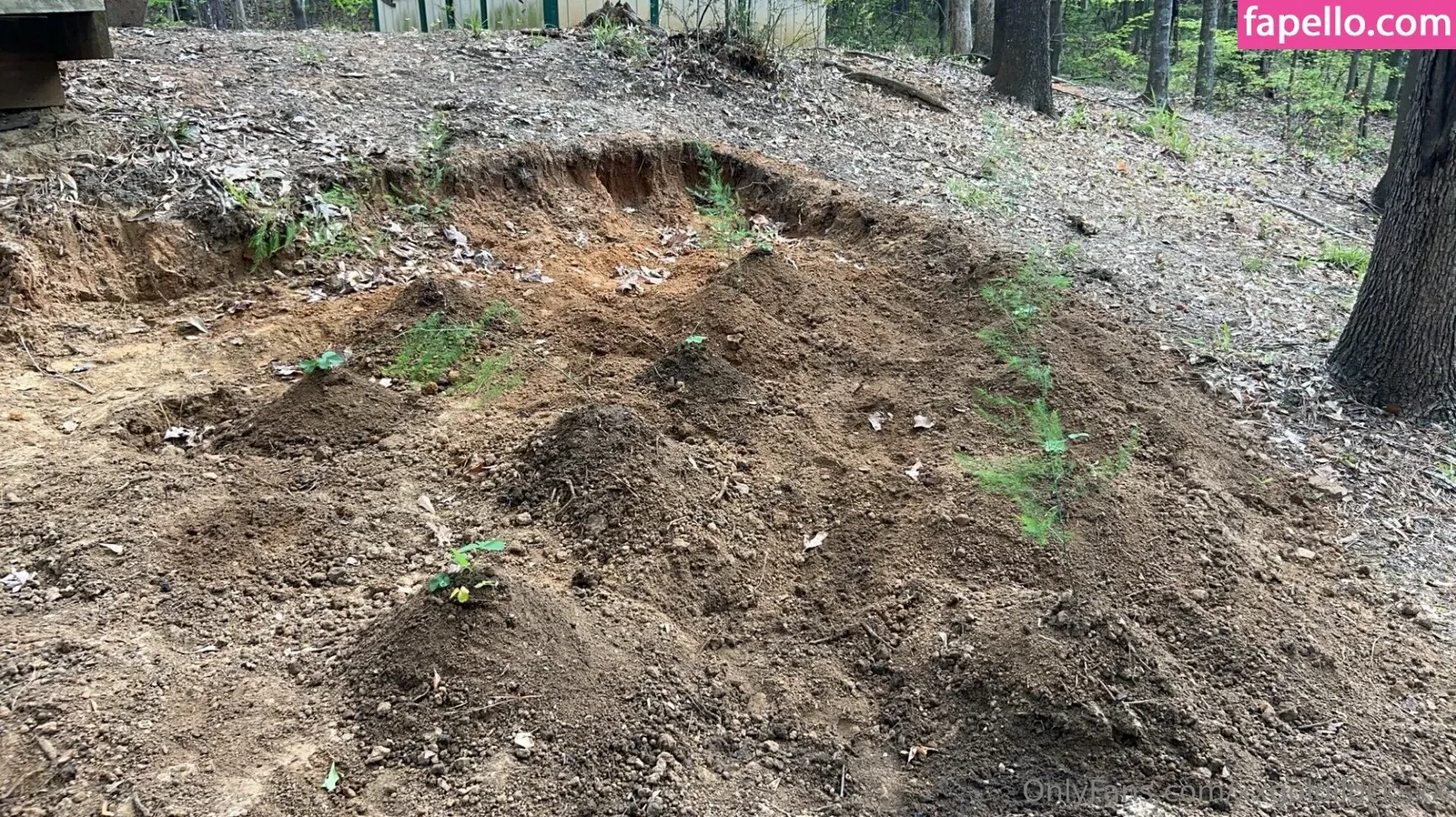 xxxlittlegeexx Onlyfans Photo Gallery 