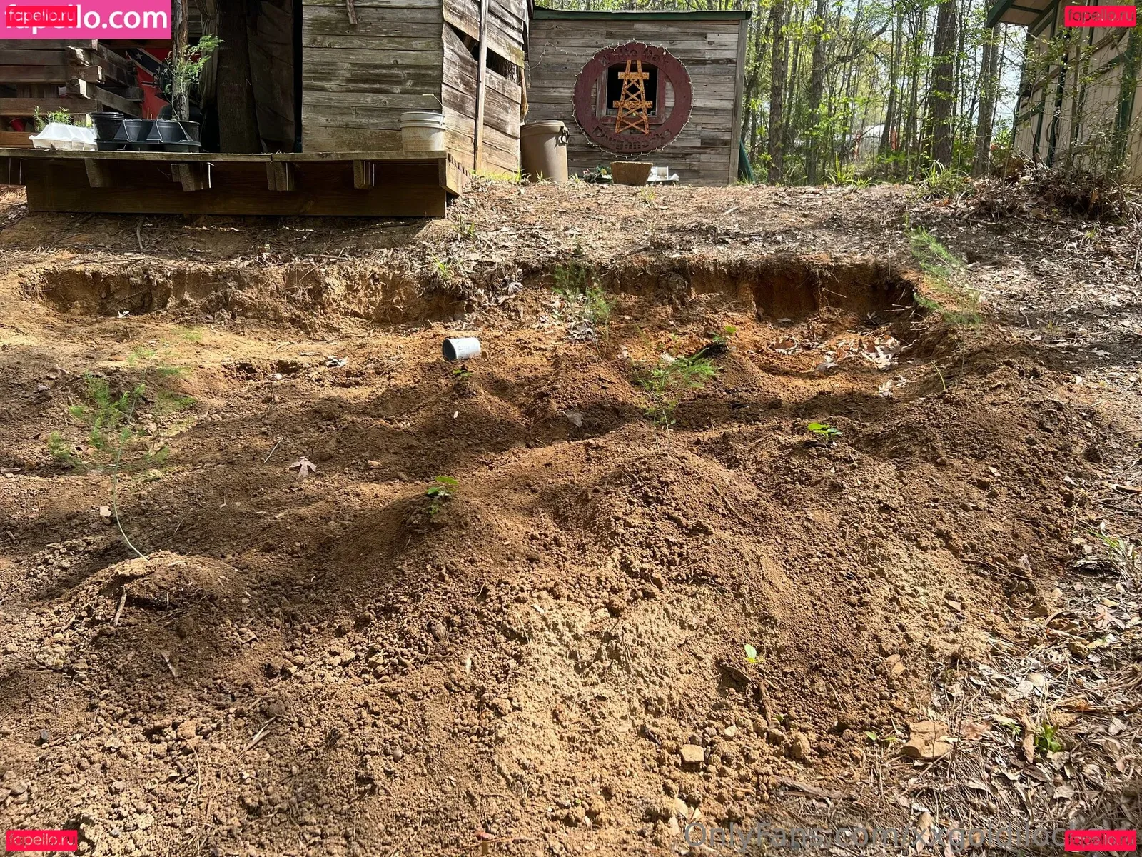 xxxlittlegeexx Onlyfans Photo Gallery 