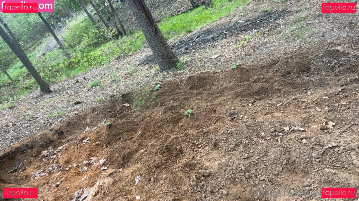 xxxlittlegeexx Onlyfans Photo Gallery 