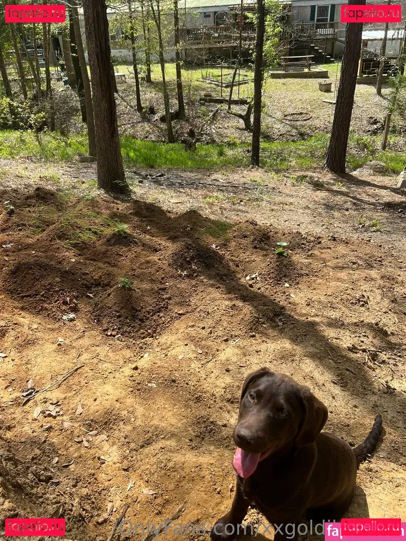 xxxlittlegeexx Onlyfans Photo Gallery 