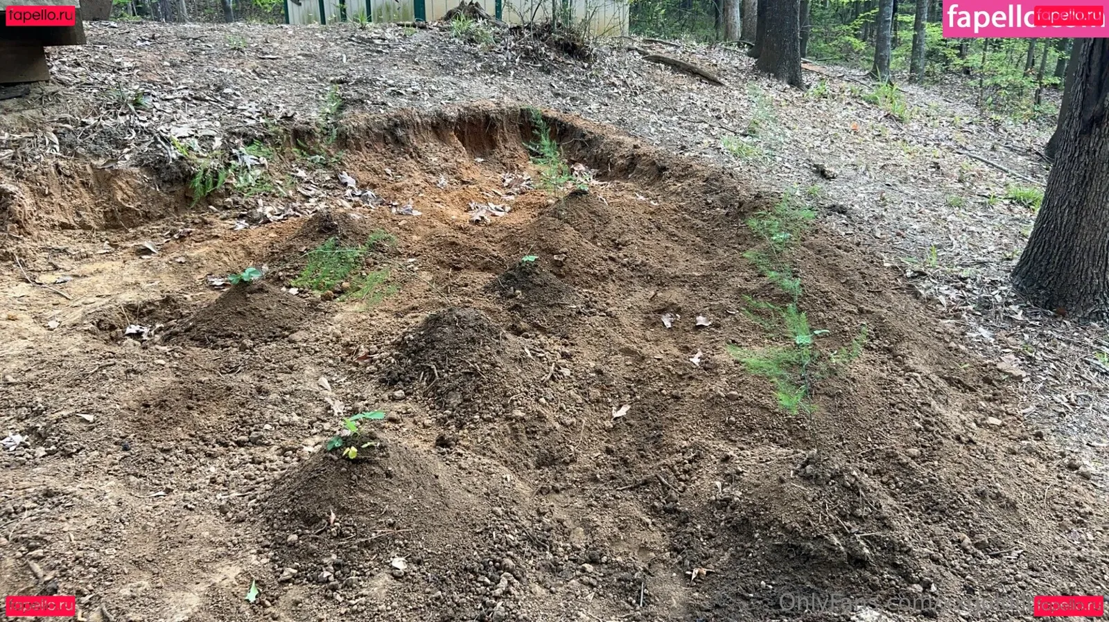 xxxlittlegeexx Onlyfans Photo Gallery 