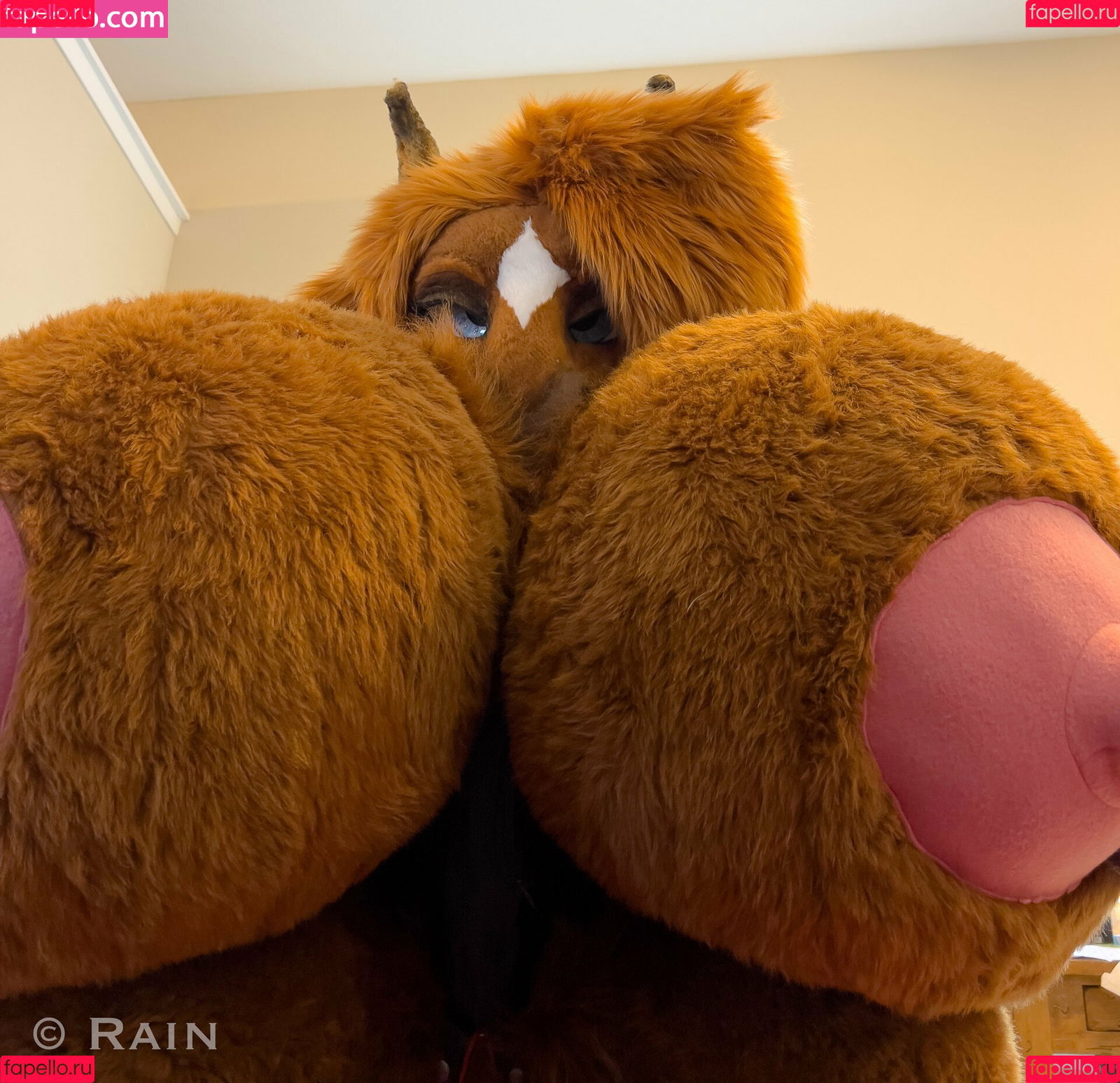 rain_horsie Onlyfans Photo Gallery 