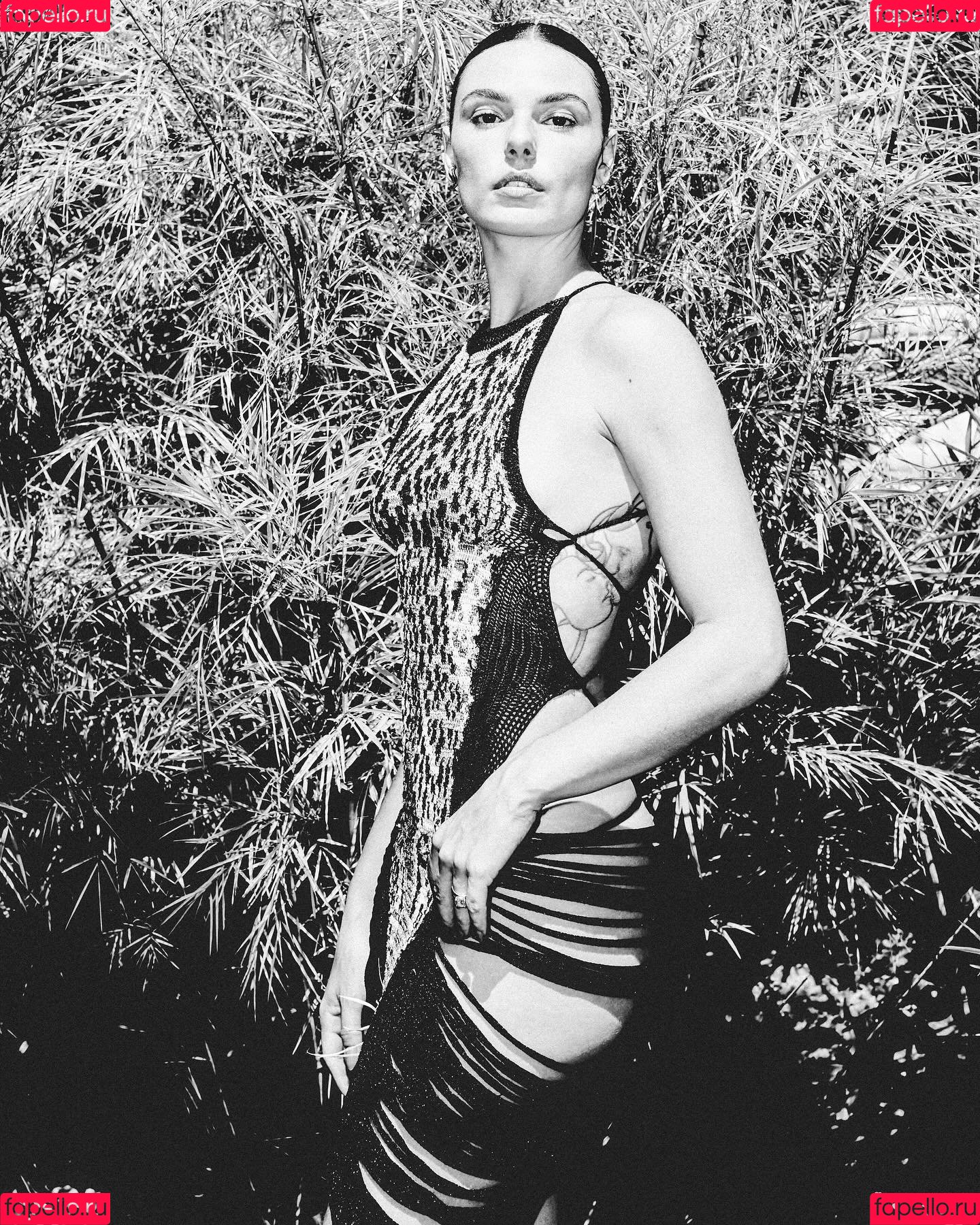 Isis Valverde Onlyfans Photo Gallery 