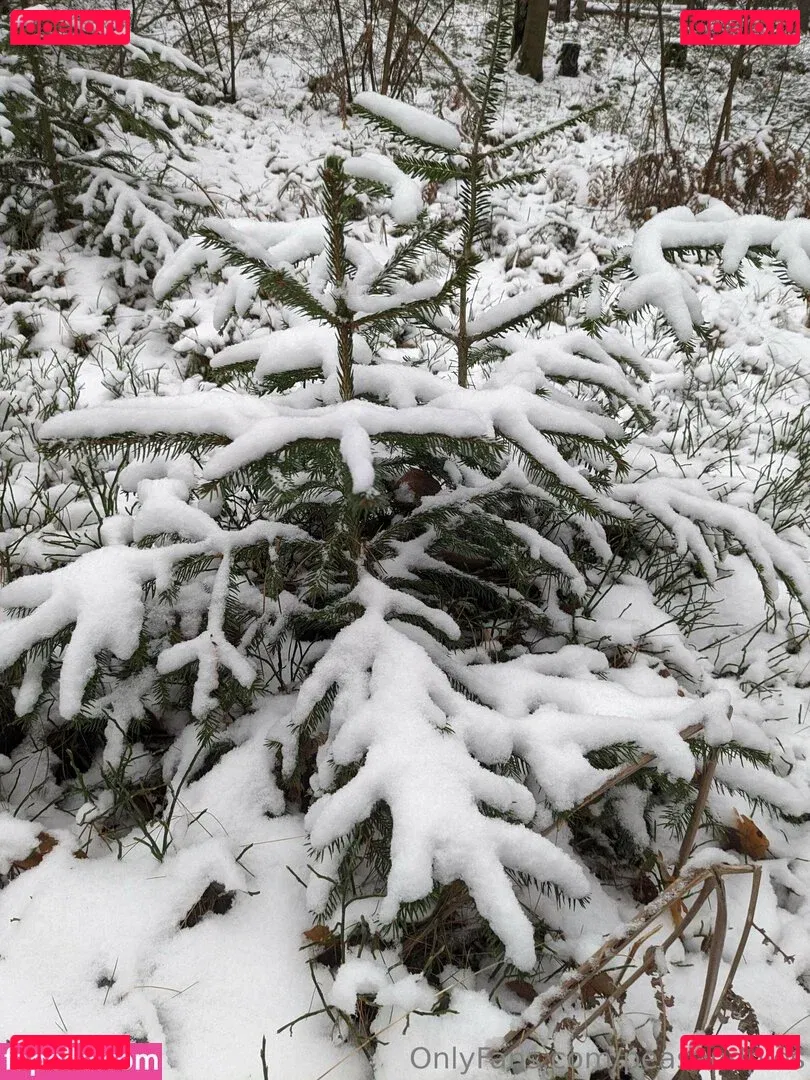 peasandpies Onlyfans Photo Gallery 