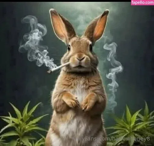 harlowhoney8 Onlyfans Photo Gallery 