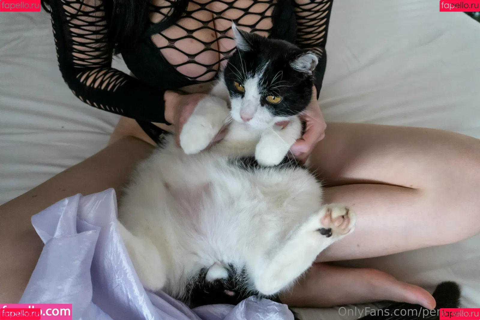 pennykun Onlyfans Photo Gallery 