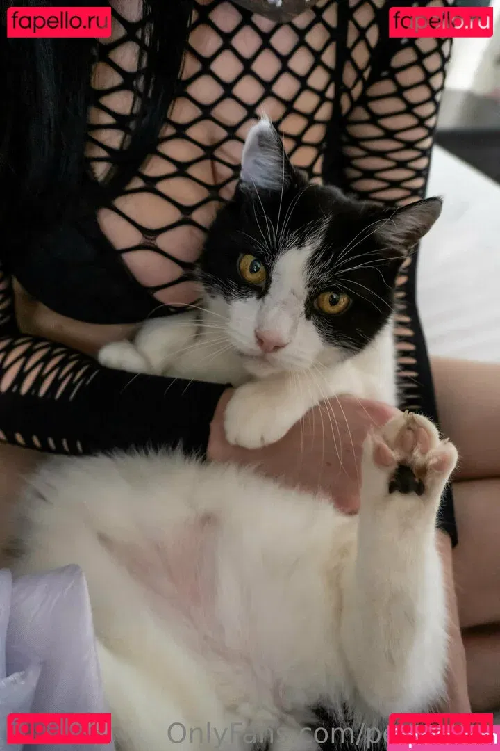 pennykun Onlyfans Photo Gallery 