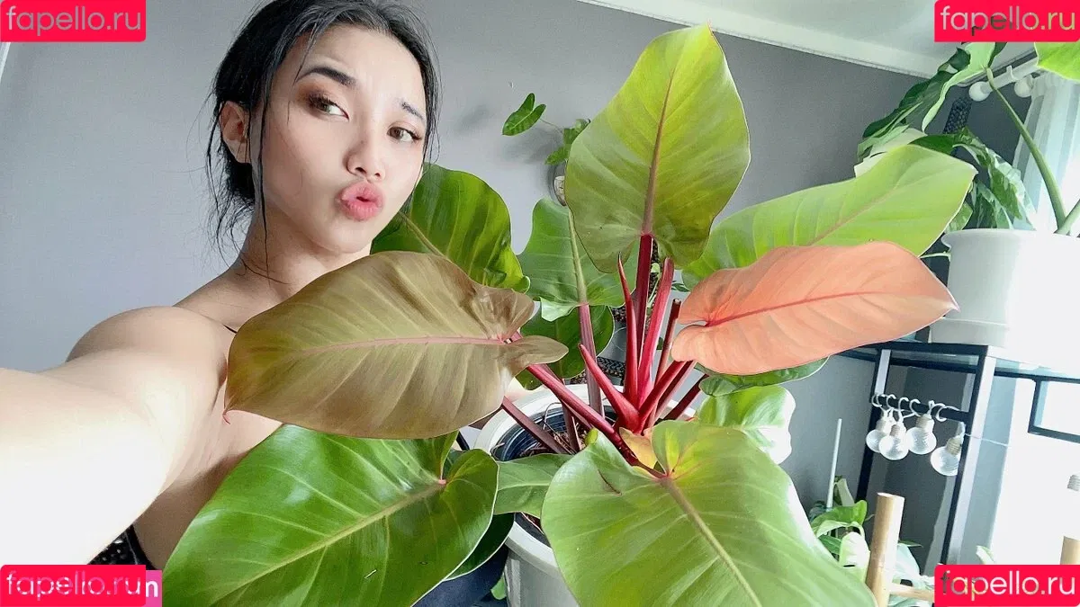 aboobies Onlyfans Photo Gallery 