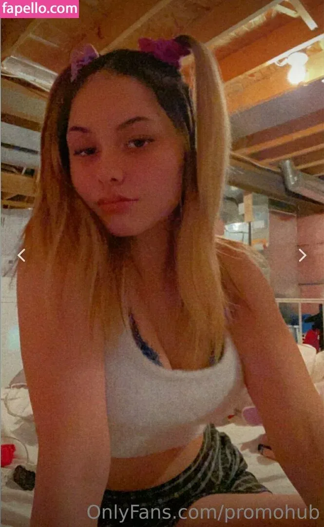 promohub Onlyfans Photo Gallery 