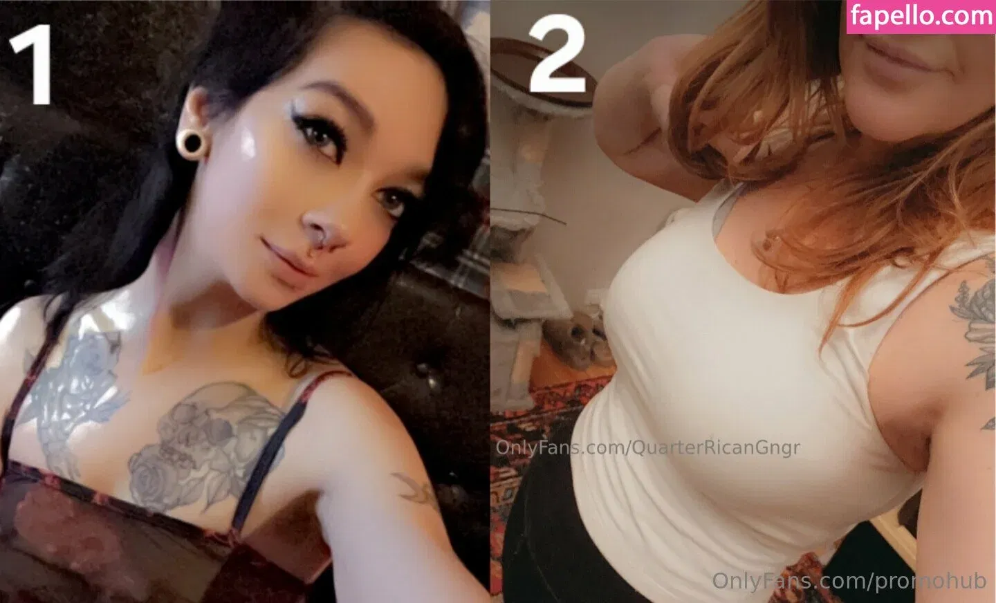 promohub Onlyfans Photo Gallery 