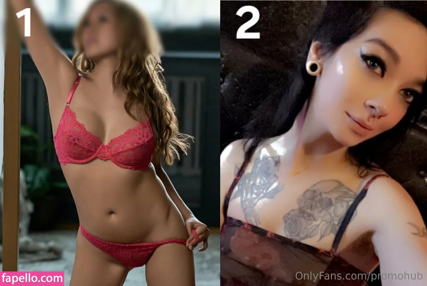 promohub Onlyfans Photo Gallery 