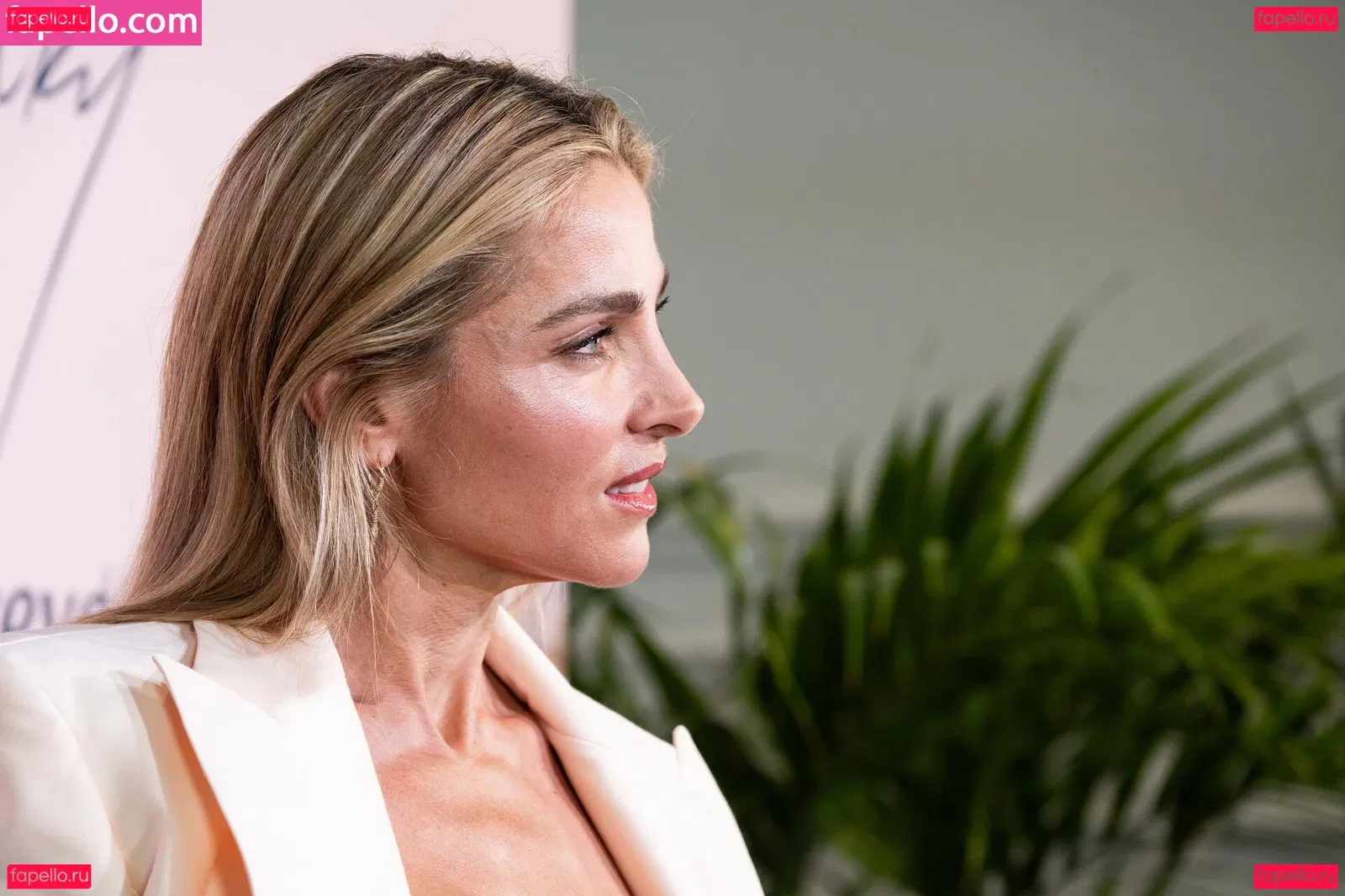 Elsa Pataky Onlyfans Photo Gallery 