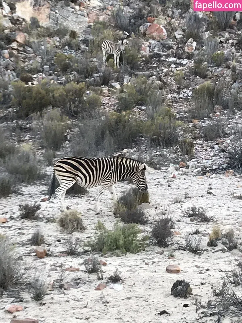 jimnewmannyc Onlyfans Photo Gallery 