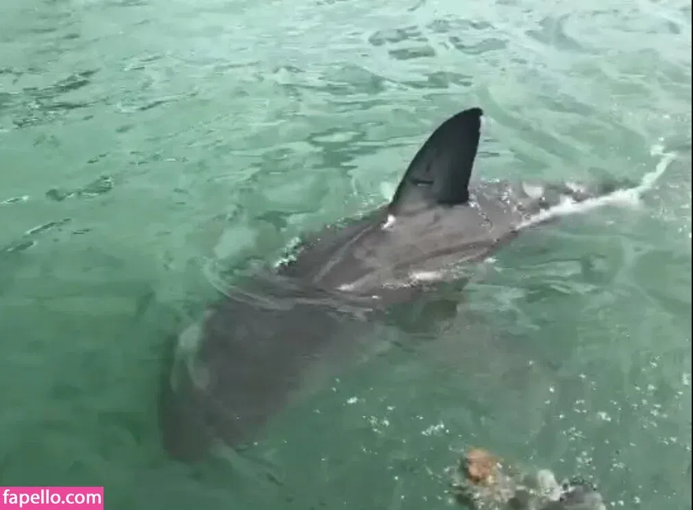 jimnewmannyc Onlyfans Photo Gallery 