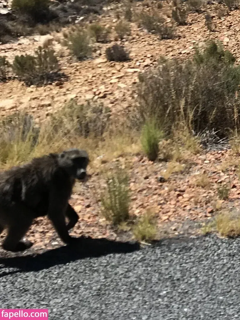 jimnewmannyc Onlyfans Photo Gallery 