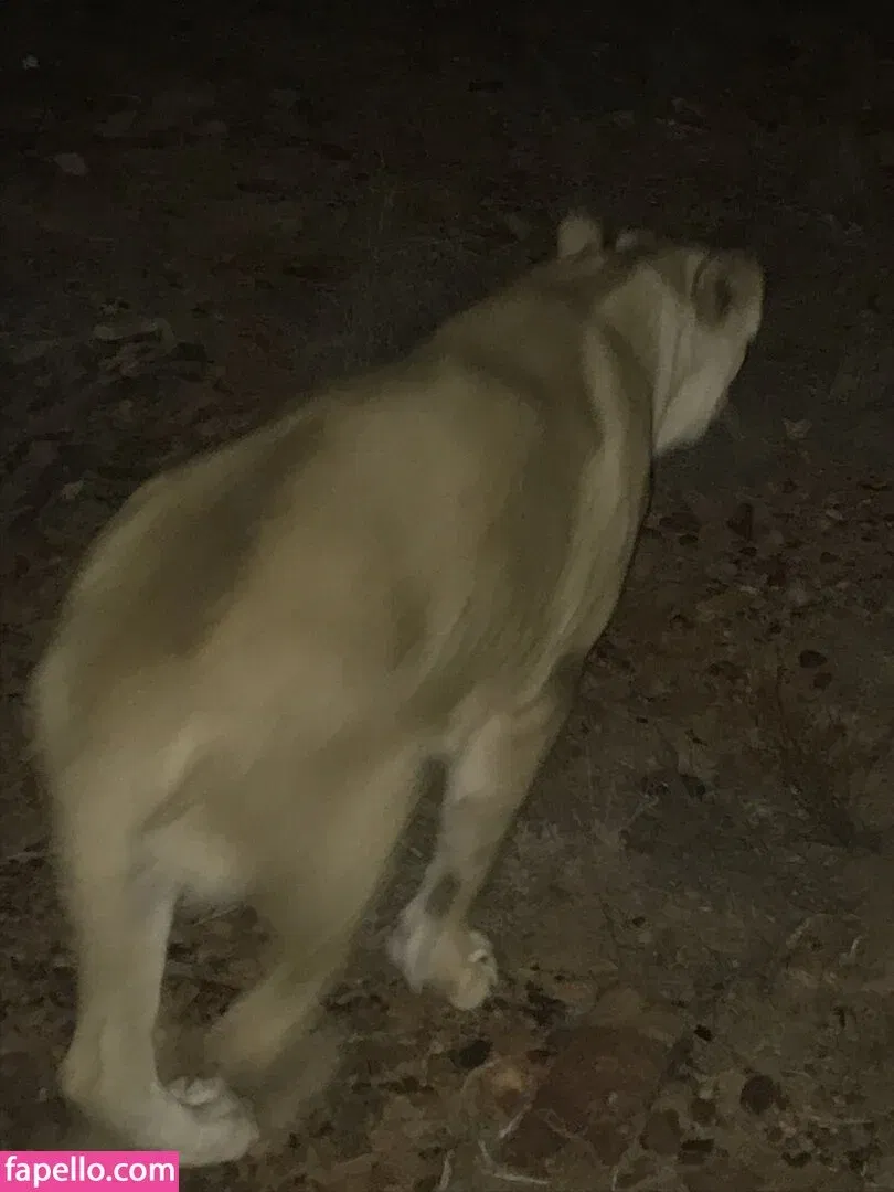 jimnewmannyc Onlyfans Photo Gallery 