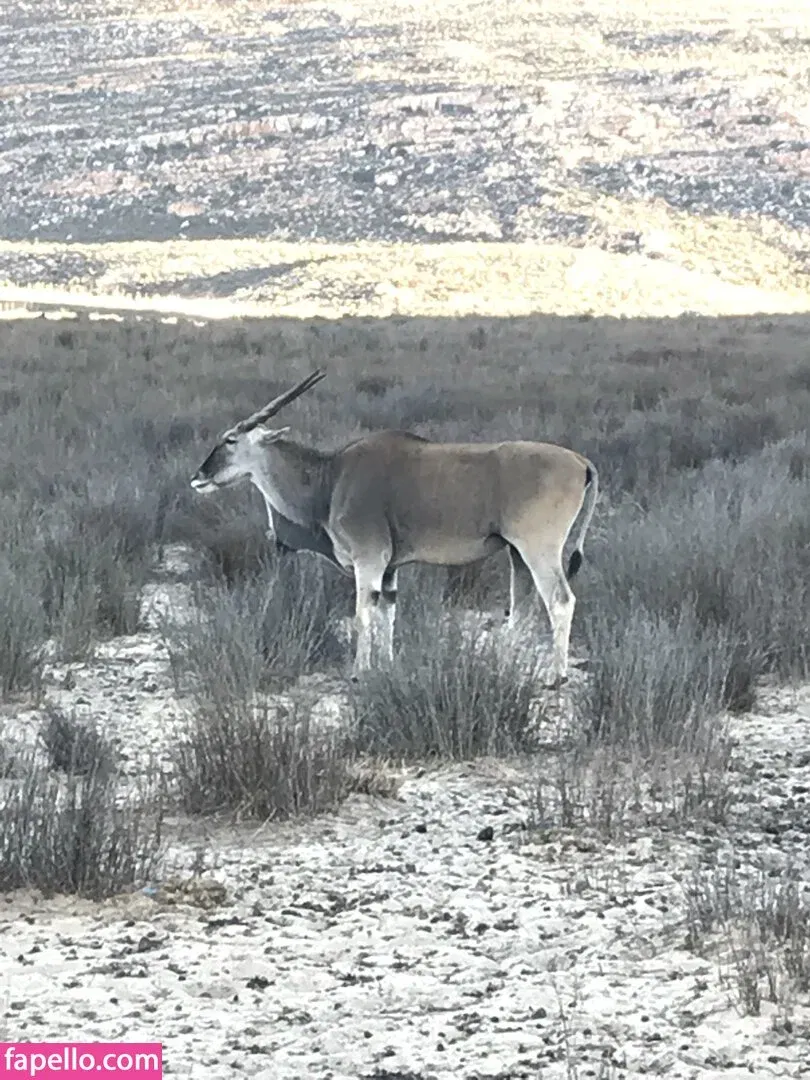 jimnewmannyc Onlyfans Photo Gallery 