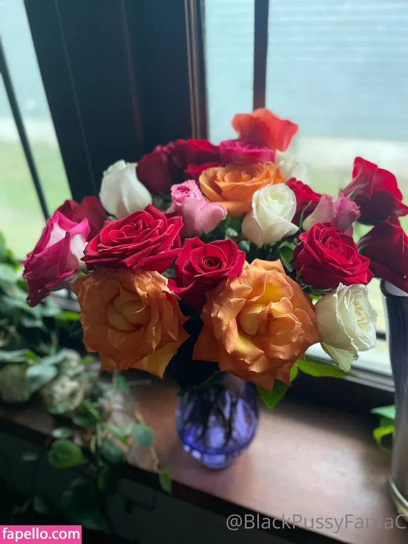 bpftcfree Onlyfans Photo Gallery 