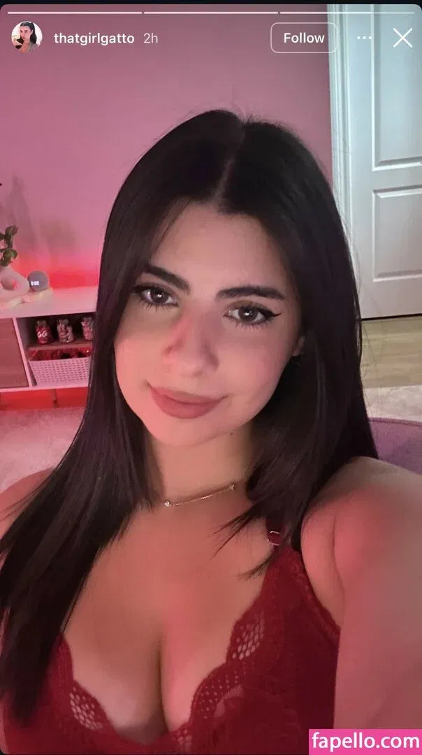 ThatGirlGatto Onlyfans Photo Gallery 