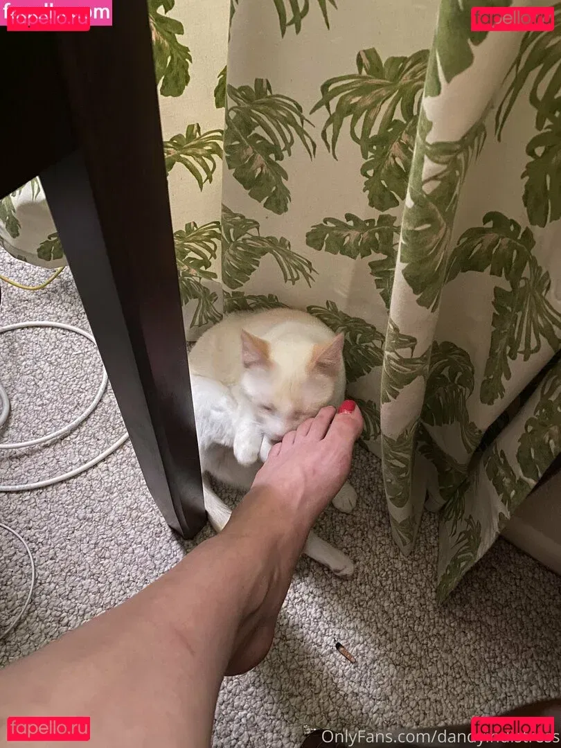 dandyindistress Onlyfans Photo Gallery 