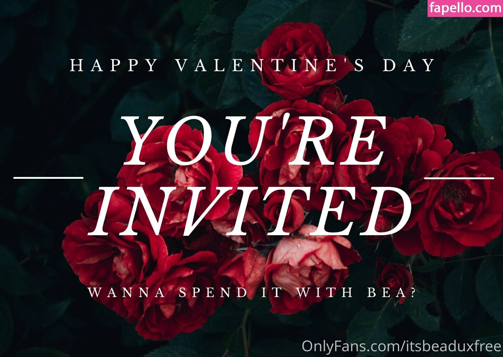 itsbeaduxfree Onlyfans Photo Gallery 