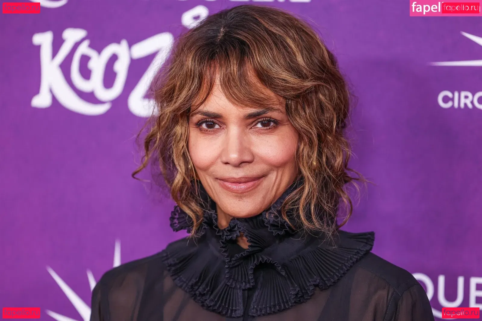 Halle Berry Onlyfans Photo Gallery 