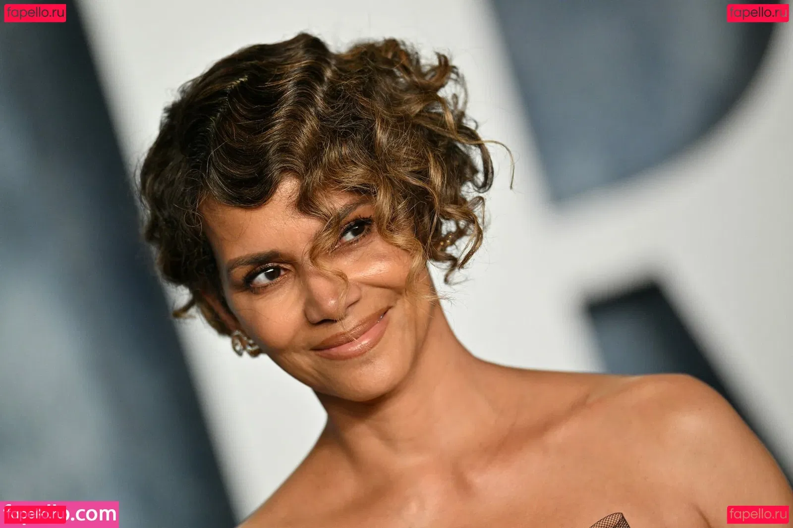 Halle Berry Onlyfans Photo Gallery 