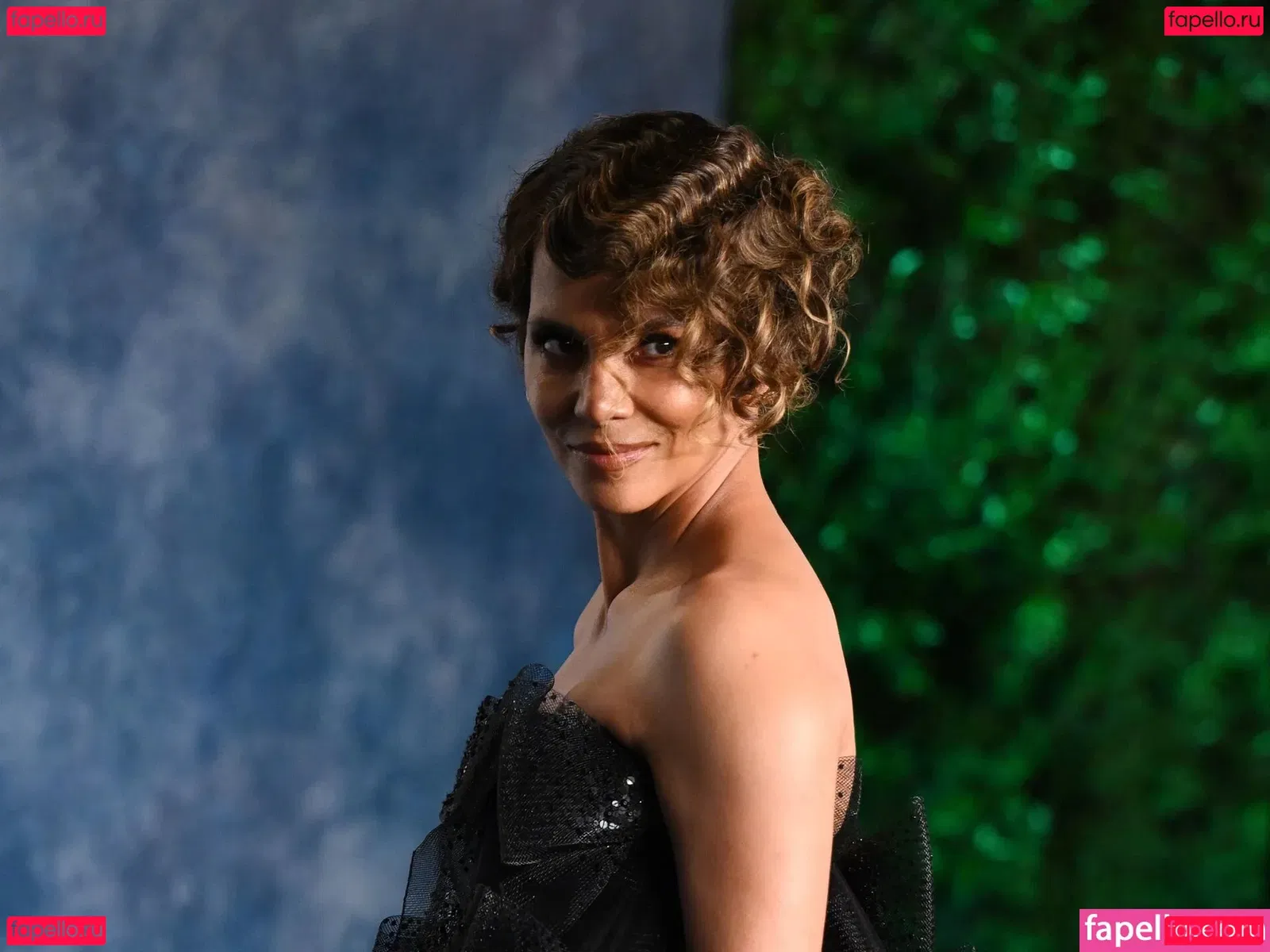 Halle Berry Onlyfans Photo Gallery 