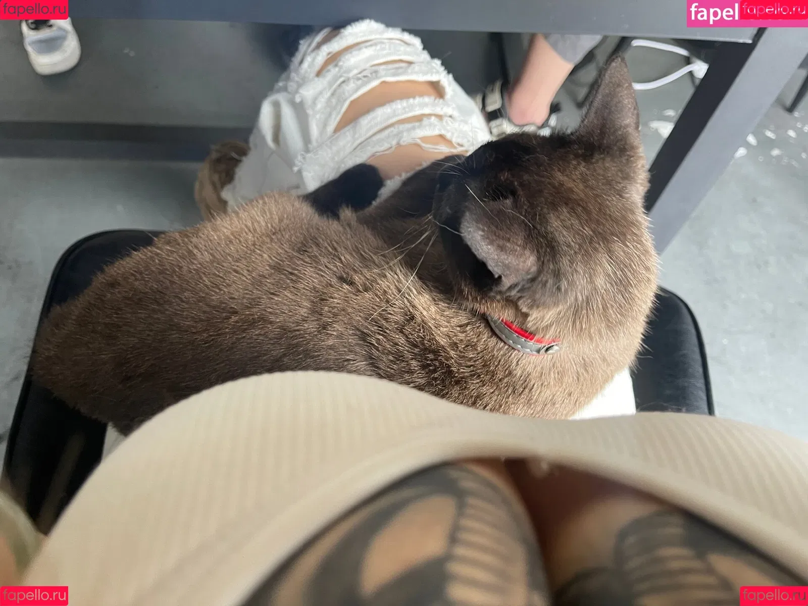 Deer_white Onlyfans Photo Gallery 
