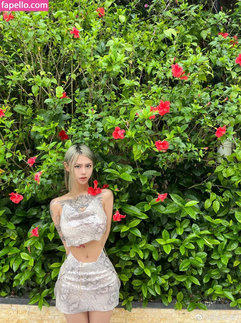 Deer_white Onlyfans Photo Gallery 