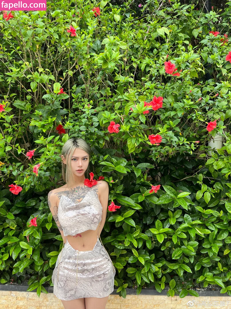 Deer_white Onlyfans Photo Gallery 