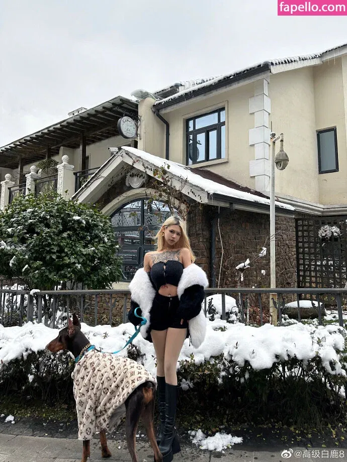 Deer_white Onlyfans Photo Gallery 