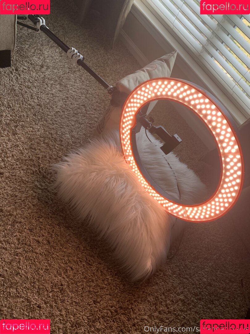 savannahsteele Onlyfans Photo Gallery 