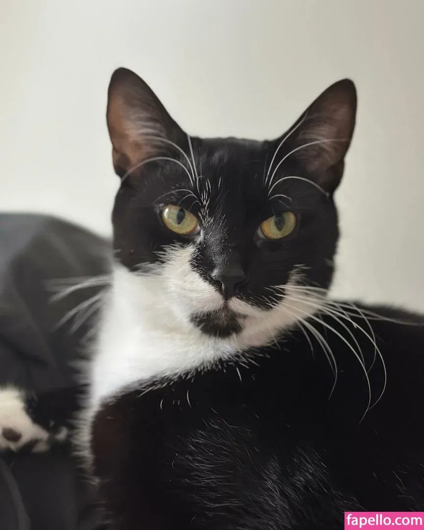 Cherrylovebombb Onlyfans Photo Gallery 