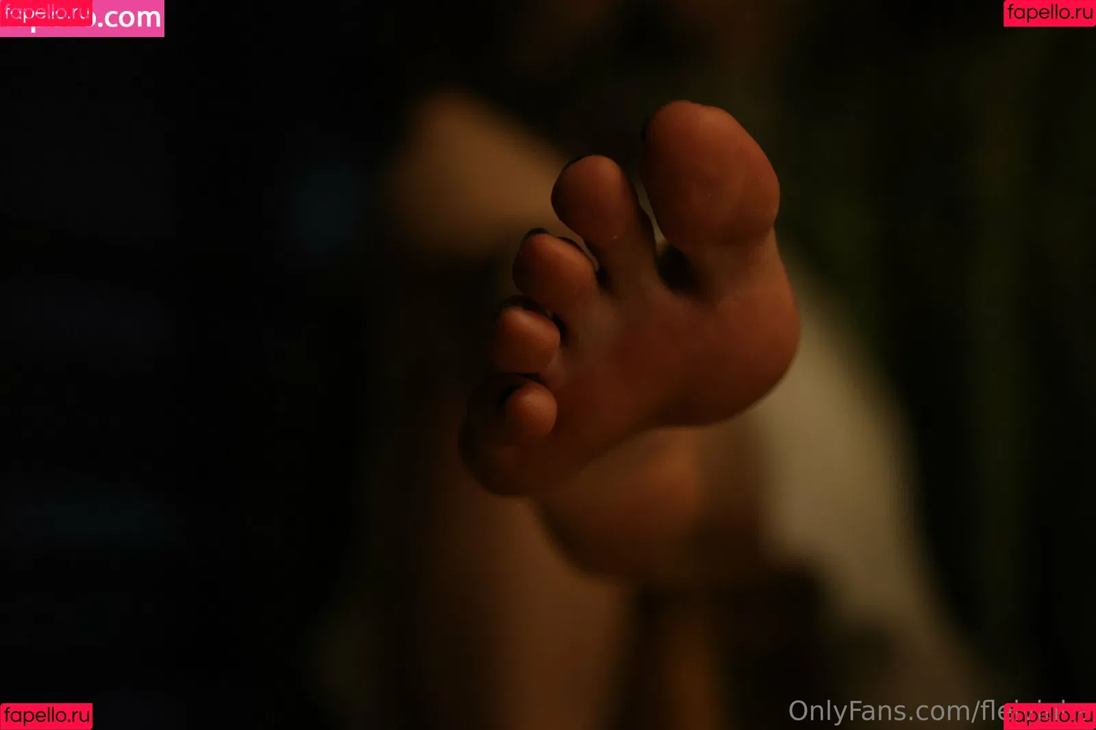 Sasa Onlyfans Photo Gallery 