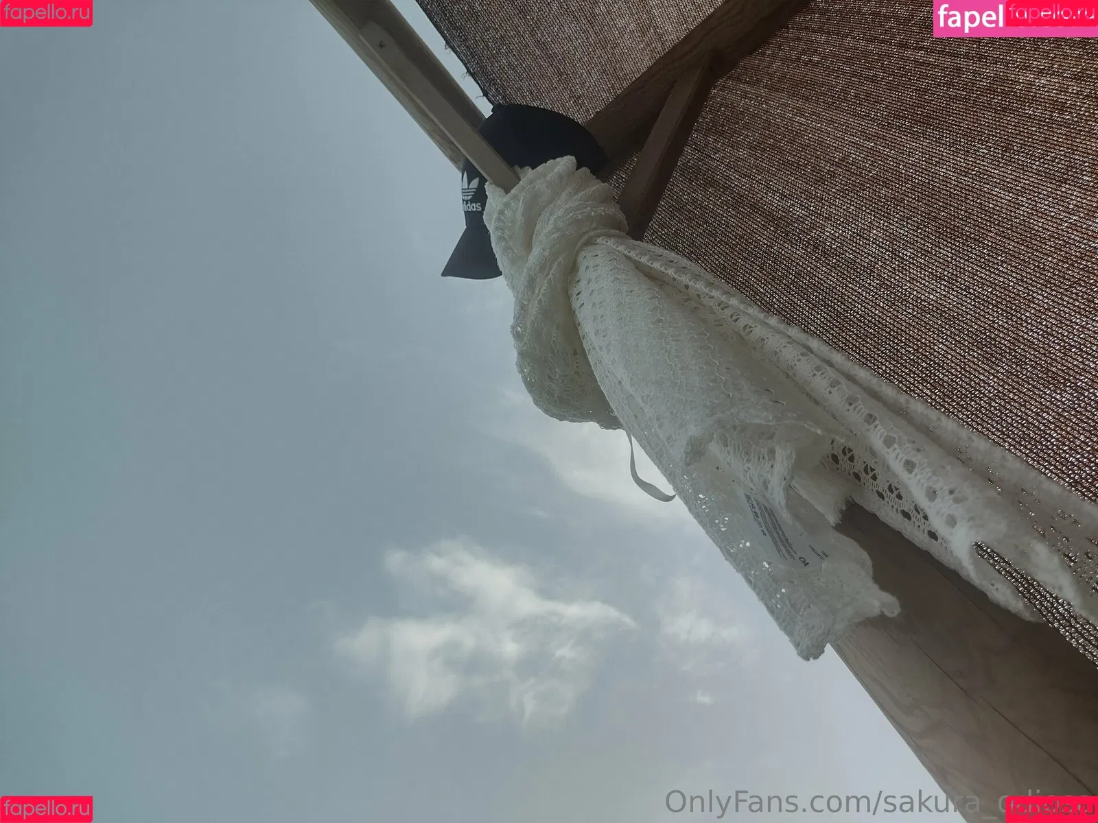 sakura_odiosa Onlyfans Photo Gallery 