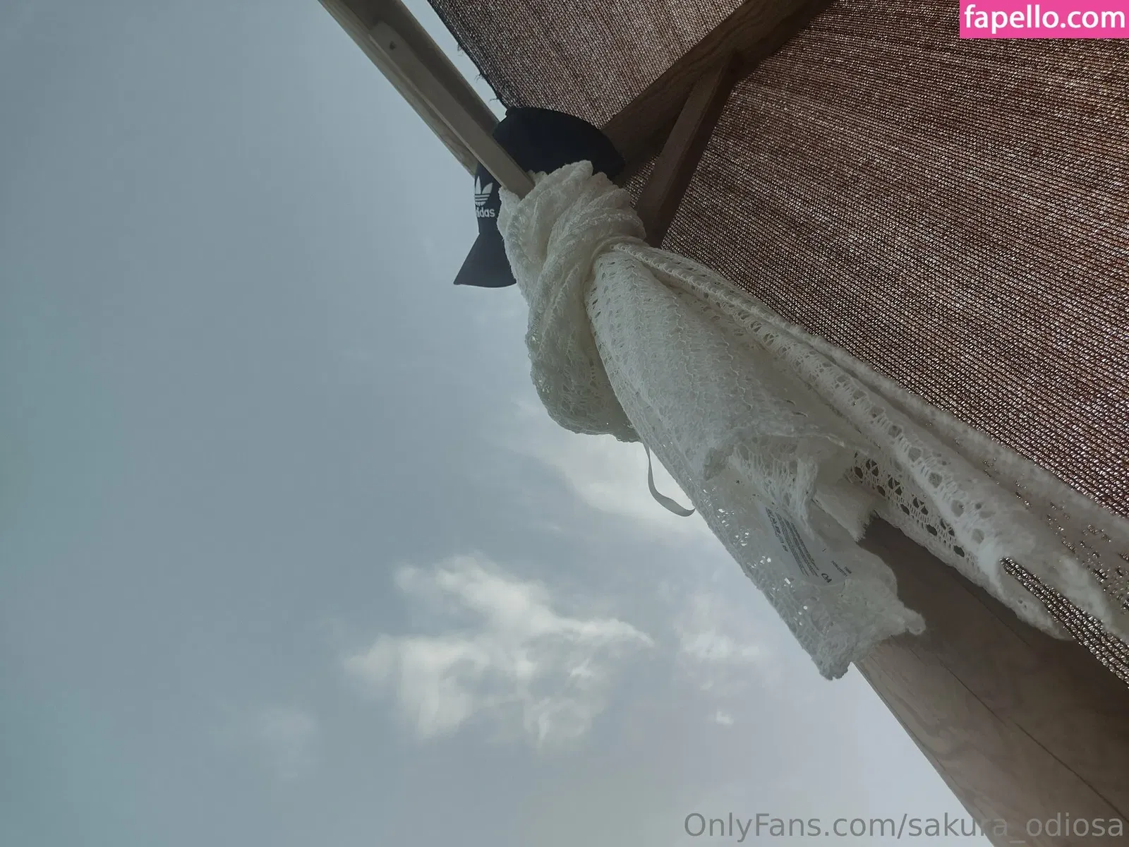 sakura_odiosa Onlyfans Photo Gallery 