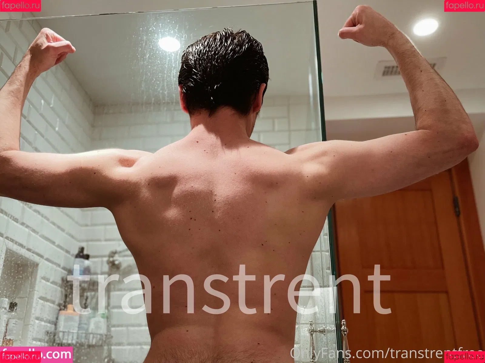 transtrentfree Onlyfans Photo Gallery 