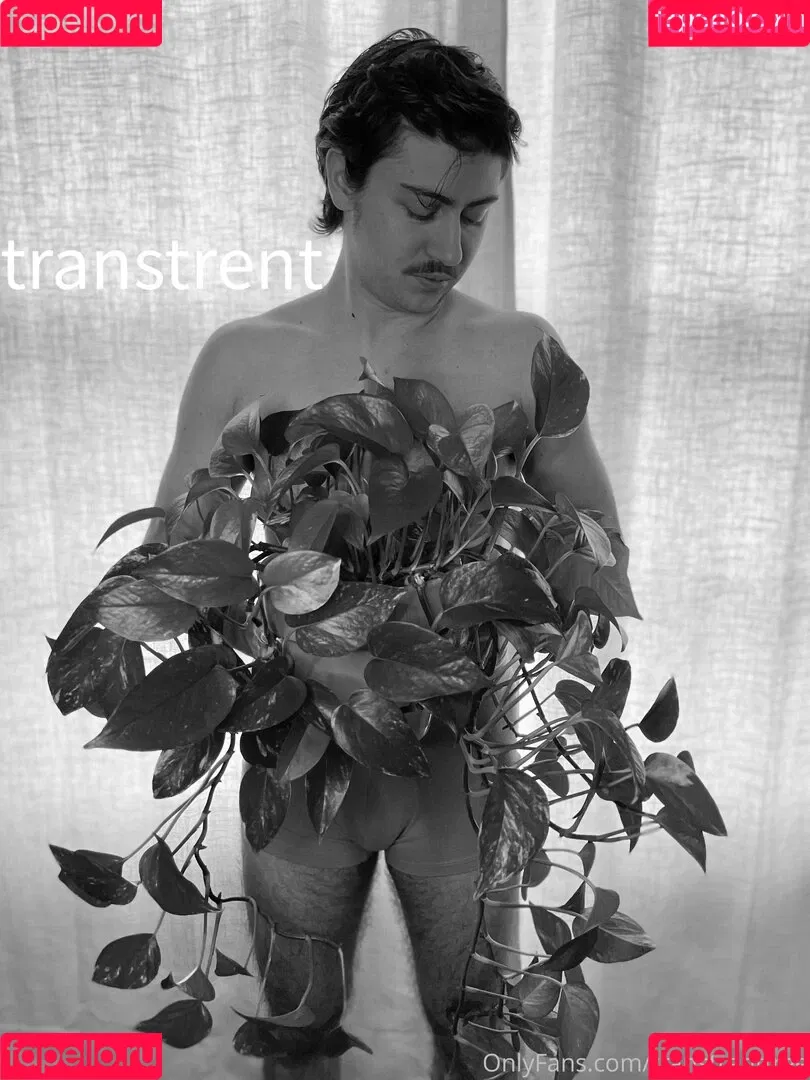 transtrentfree Onlyfans Photo Gallery 